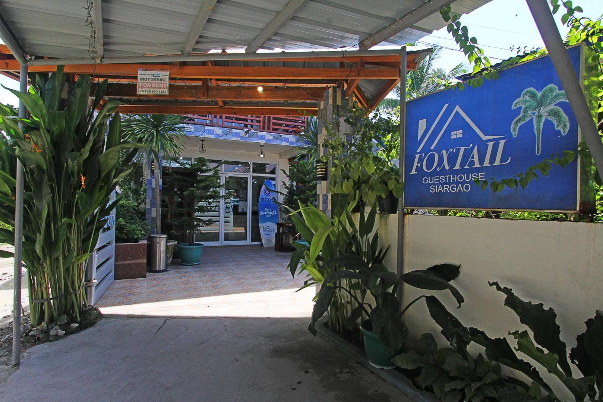 Foxtail Siargao Island Guesthouse General Luna (Surigao del Norte) Exterior foto